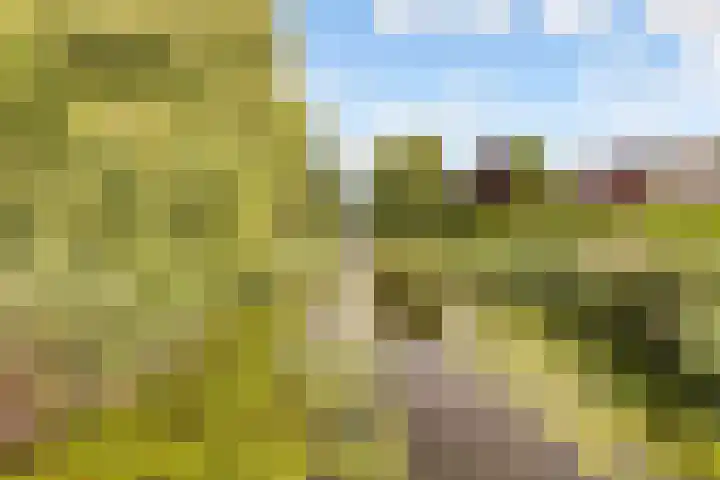Laan der V.O.C. 101 Almere thumbnail 49