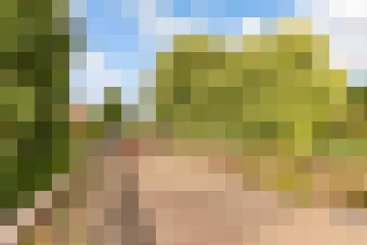 Laan der V.O.C. 101 Almere thumbnail 51
