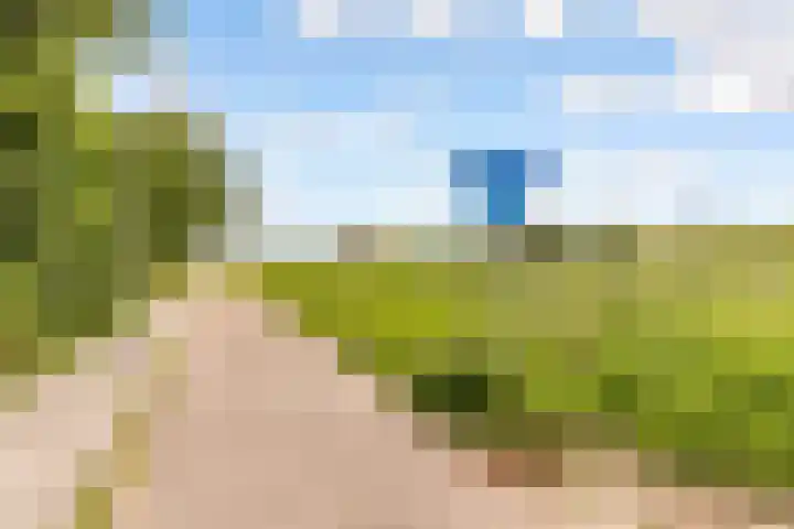 Laan der V.O.C. 101 Almere thumbnail 52