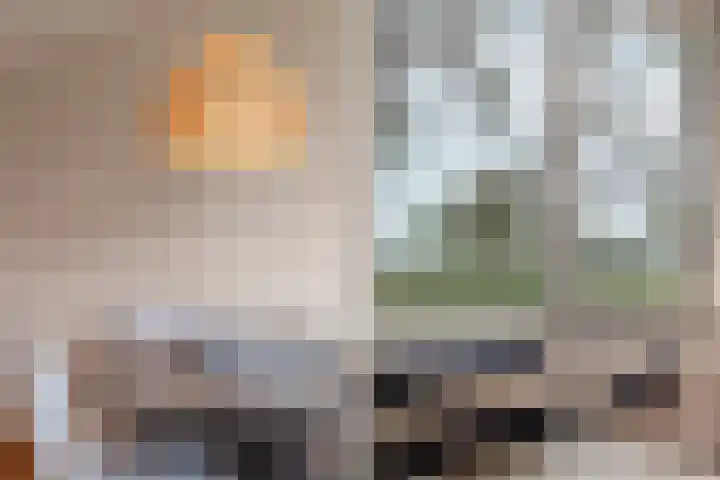 Laan der V.O.C. 340 Almere thumbnail 11