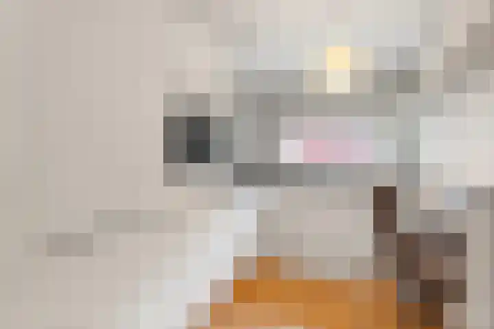 Laan der V.O.C. 340 Almere thumbnail 12