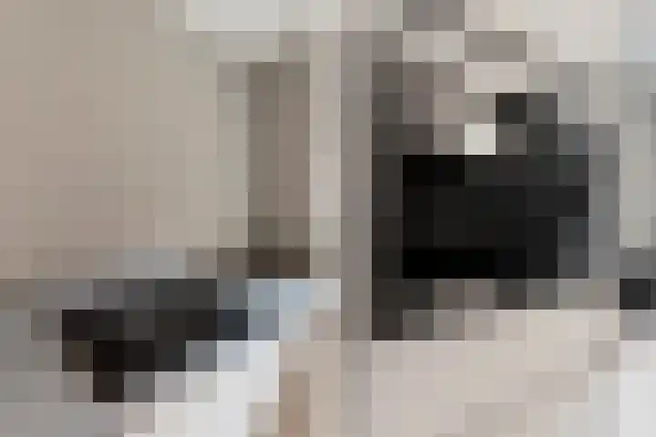 Laan der V.O.C. 340 Almere thumbnail 15
