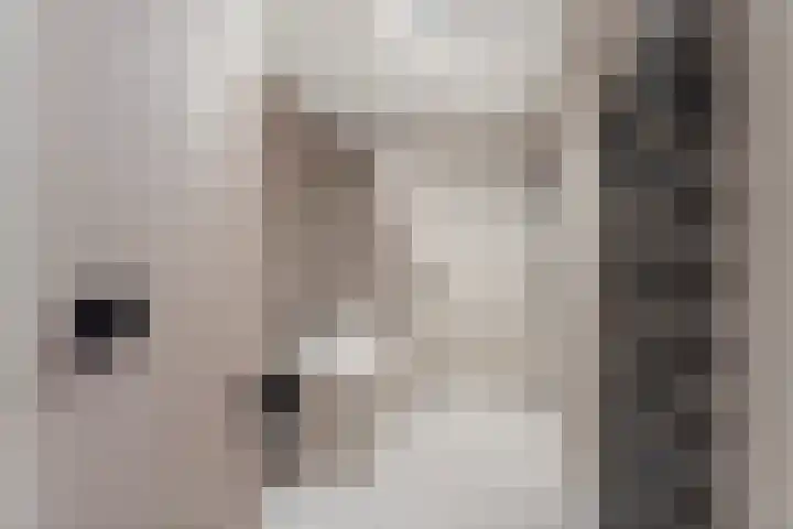 Laan der V.O.C. 340 Almere thumbnail 6