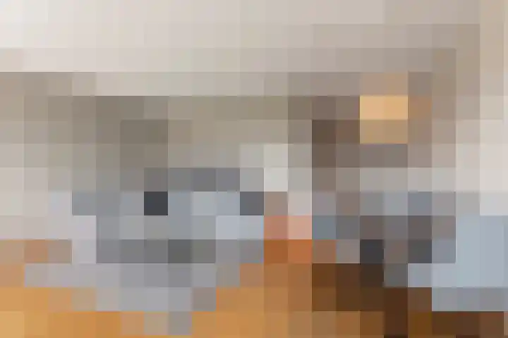 Laan der V.O.C. 340 Almere thumbnail 9