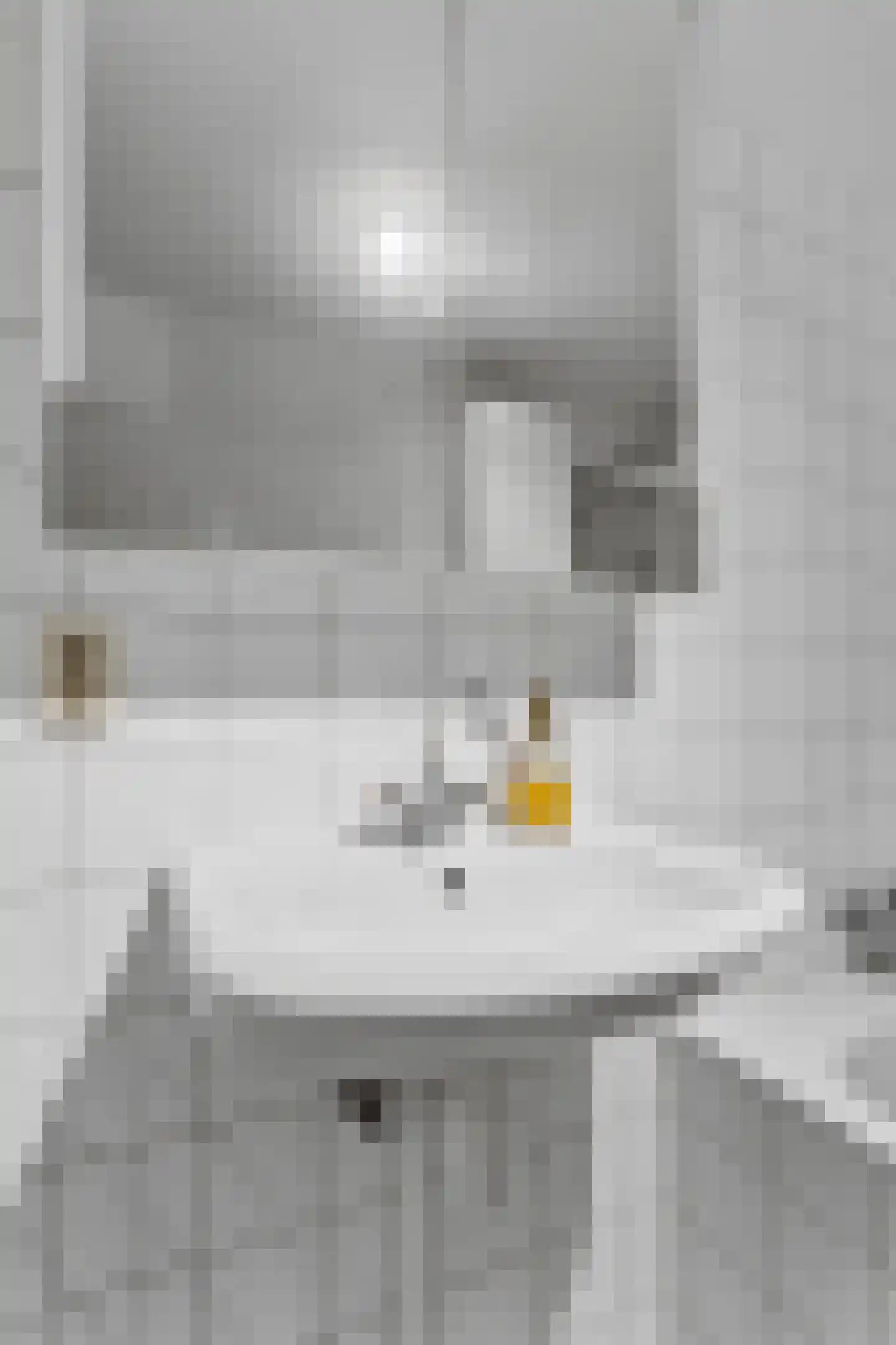Laan der V.O.C. 346 Almere thumbnail 28