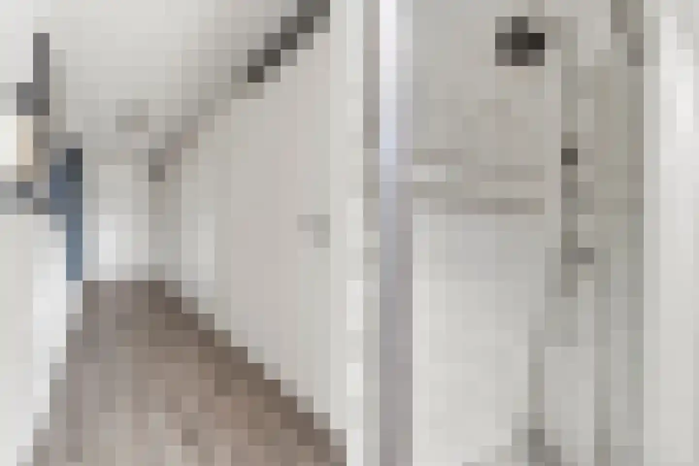 Laan der V.O.C. 346 Almere thumbnail 32