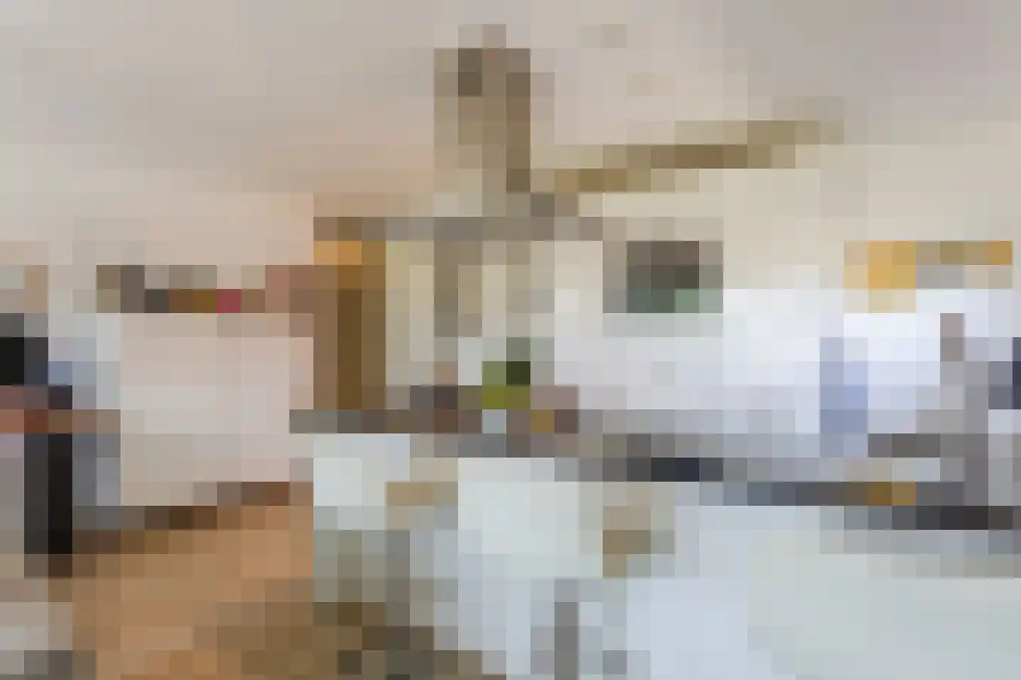 Laan der V.O.C. 380 Almere thumbnail 19