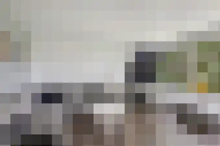 Laan der V.O.C. 386 Almere thumbnail 11