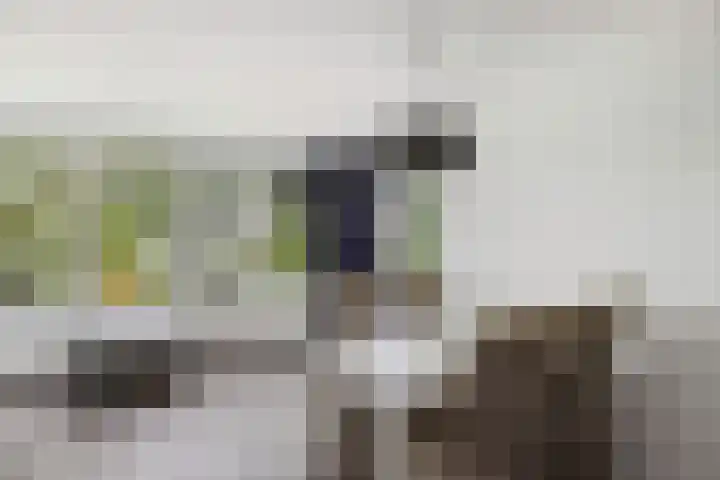 Laan der V.O.C. 386 Almere thumbnail 17