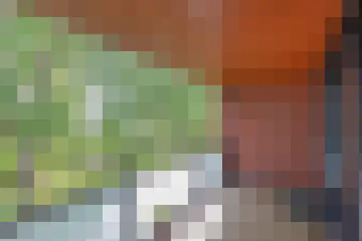 Laan der V.O.C. 386 Almere thumbnail 20