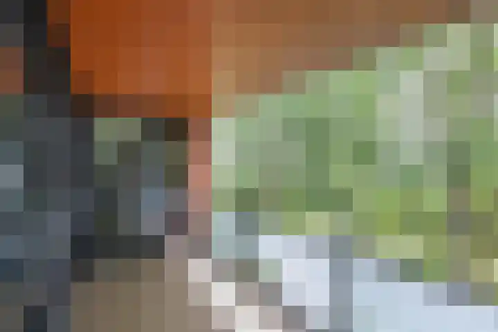 Laan der V.O.C. 386 Almere thumbnail 21