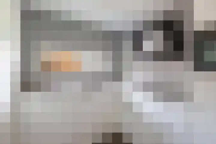 Laan der V.O.C. 386 Almere thumbnail 23