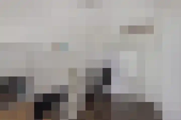 Laan der V.O.C. 386 Almere thumbnail 30