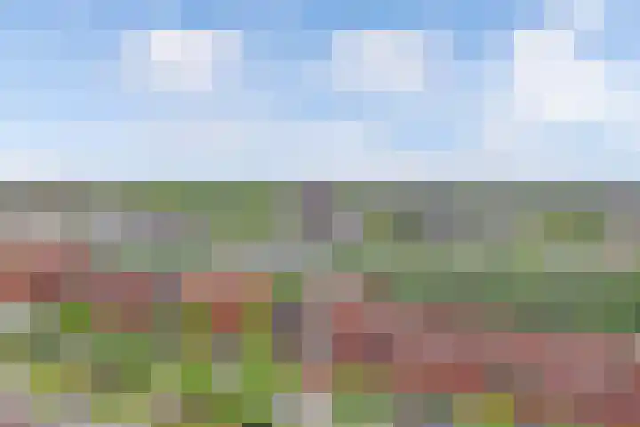 Laan der V.O.C. 386 Almere thumbnail 38