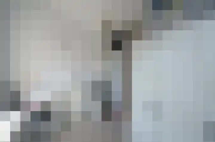 Laan der V.O.C. 75 Almere thumbnail 31