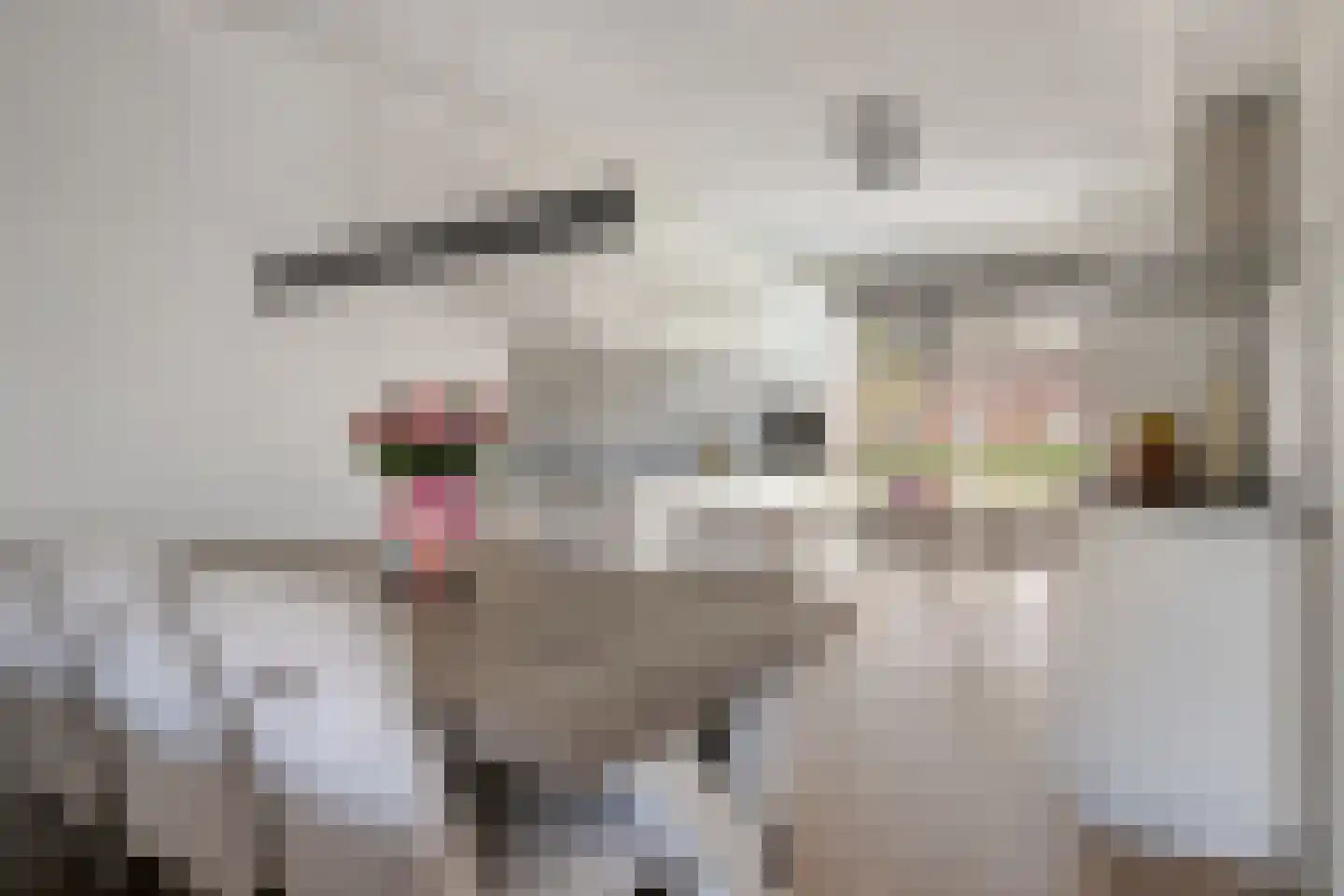 Laan der V.O.C. 89 Almere thumbnail 8