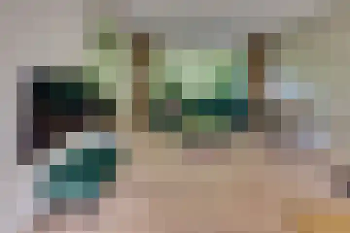 Laan der Verenigde Naties 11 Harderwijk thumbnail 10