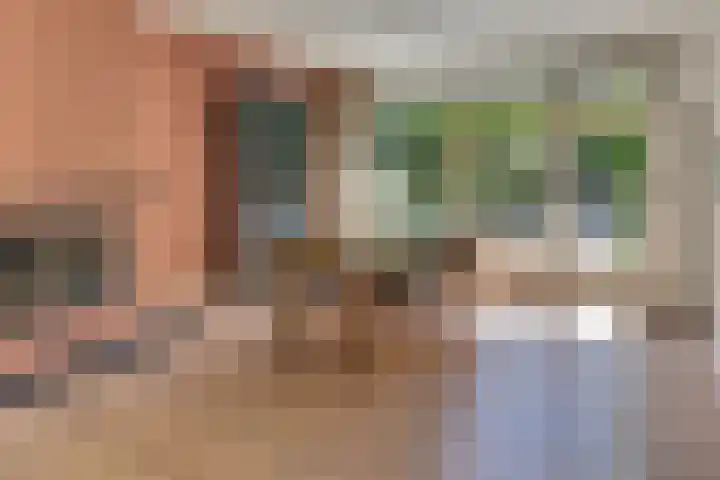 Laan der Verenigde Naties 11 Harderwijk thumbnail 14