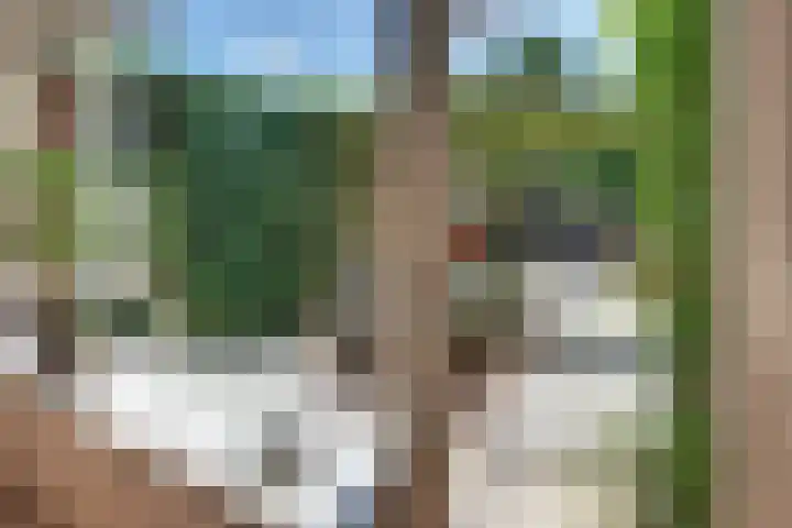 Laan der Verenigde Naties 11 Harderwijk thumbnail 16