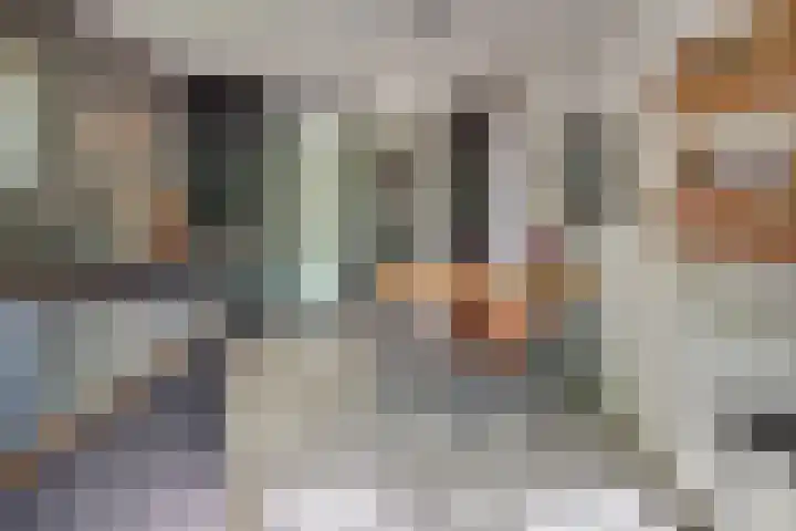 Laan der Verenigde Naties 11 Harderwijk thumbnail 23