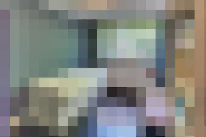 Laan der Verenigde Naties 11 Harderwijk thumbnail 31