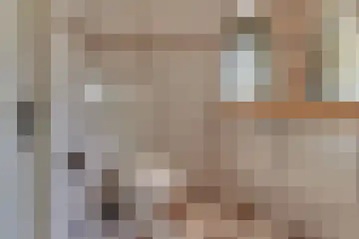 Laan der Verenigde Naties 11 Harderwijk thumbnail 37
