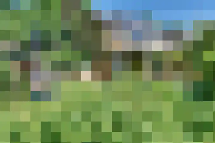 Laan der Verenigde Naties 11 Harderwijk thumbnail 4