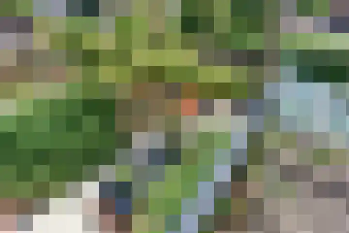 Laan der Verenigde Naties 11 Harderwijk thumbnail 40