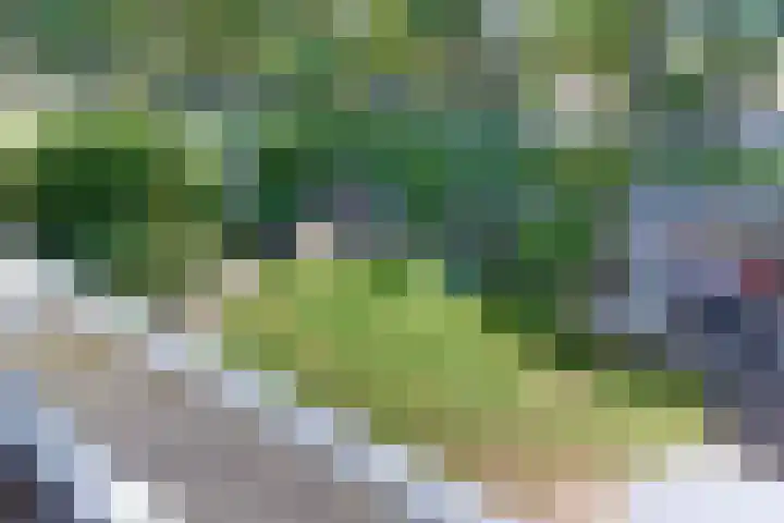 Laan der Verenigde Naties 11 Harderwijk thumbnail 41