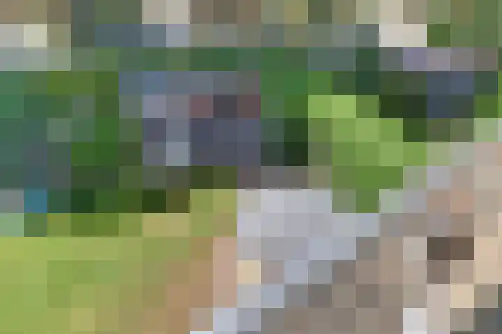 Laan der Verenigde Naties 11 Harderwijk thumbnail 42