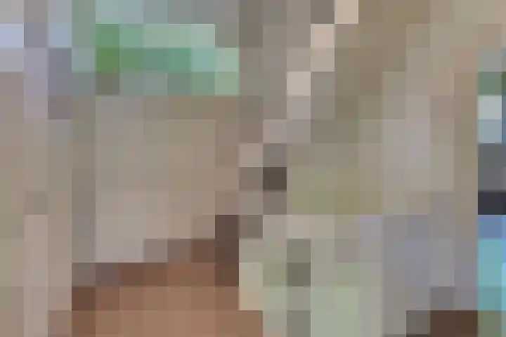 Laan der Verenigde Naties 11 Harderwijk thumbnail 43