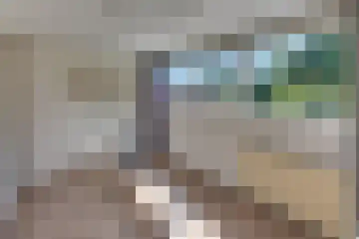 Laan der Verenigde Naties 11 Harderwijk thumbnail 47