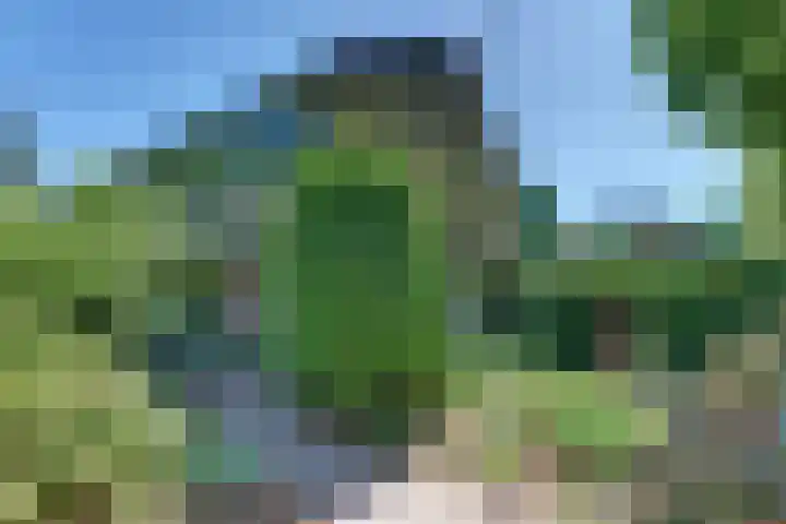 Laan der Verenigde Naties 11 Harderwijk thumbnail 5