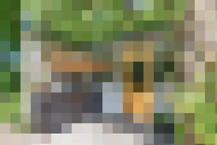 Laan der Verenigde Naties 11 Harderwijk thumbnail 52
