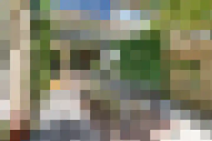 Laan der Verenigde Naties 11 Harderwijk thumbnail 53