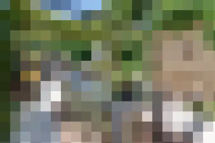 Laan der Verenigde Naties 11 Harderwijk thumbnail 54