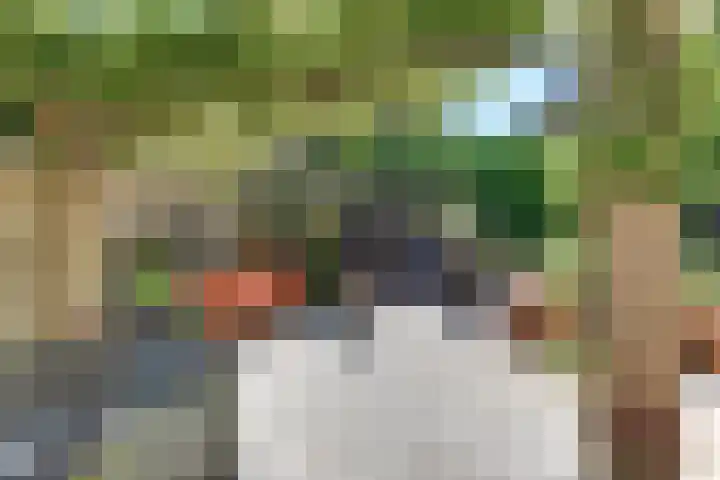 Laan der Verenigde Naties 11 Harderwijk thumbnail 55