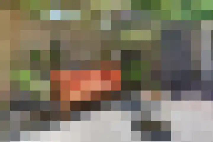 Laan der Verenigde Naties 11 Harderwijk thumbnail 56