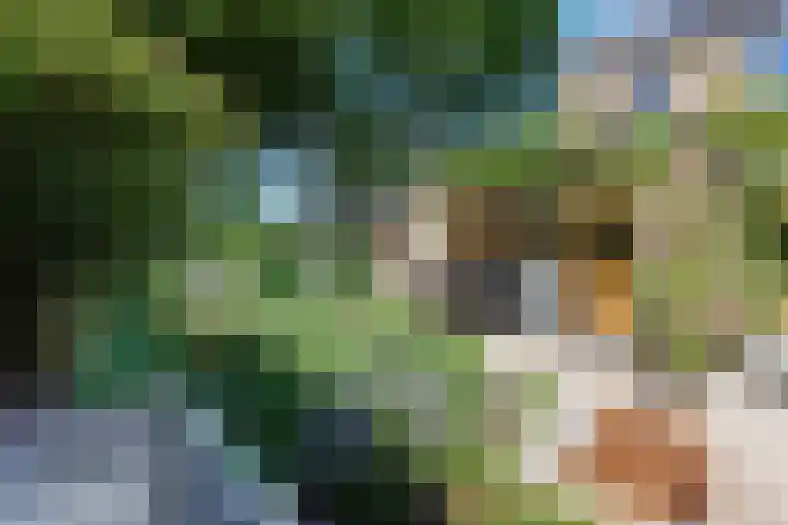 Laan der Verenigde Naties 11 Harderwijk thumbnail 60