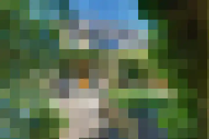 Laan der Verenigde Naties 11 Harderwijk thumbnail 62