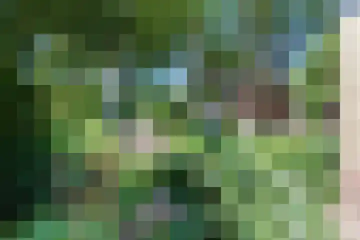 Laan der Verenigde Naties 11 Harderwijk thumbnail 64