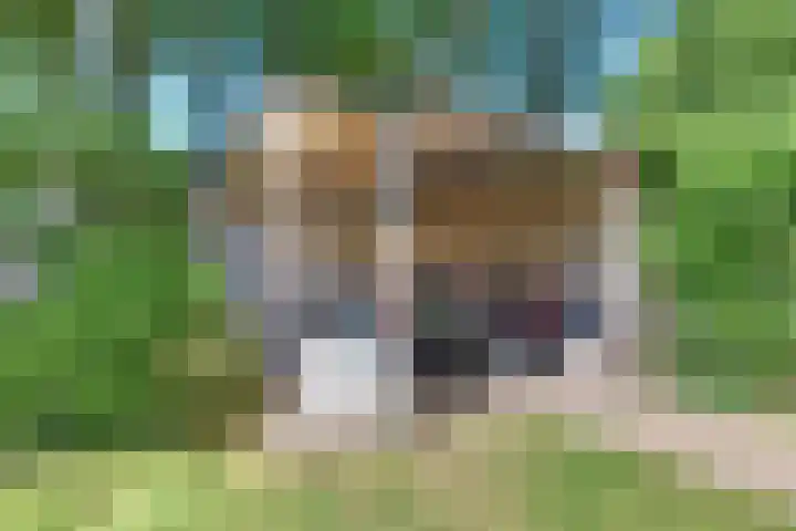 Laan der Verenigde Naties 11 Harderwijk thumbnail 66