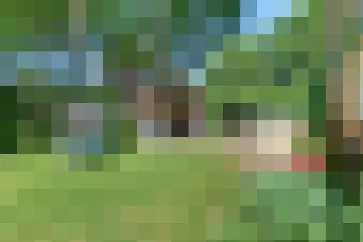 Laan der Verenigde Naties 11 Harderwijk thumbnail 68
