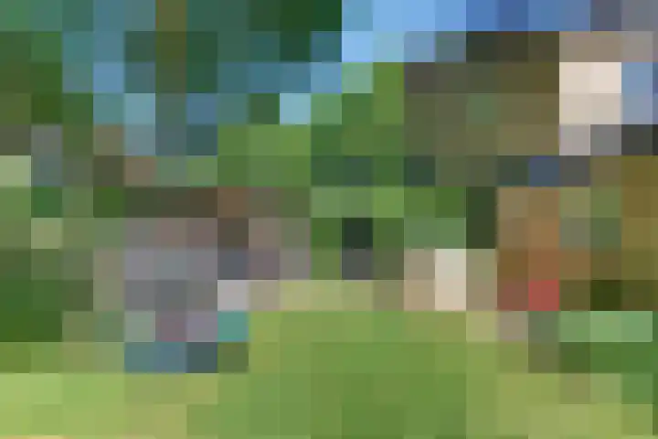Laan der Verenigde Naties 11 Harderwijk thumbnail 69