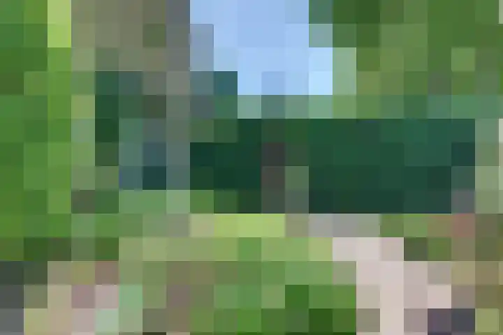 Laan der Verenigde Naties 11 Harderwijk thumbnail 70