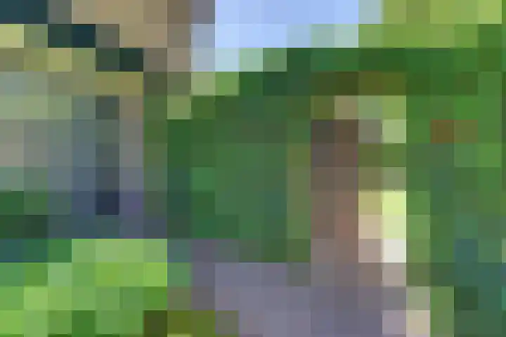 Laan der Verenigde Naties 11 Harderwijk thumbnail 71