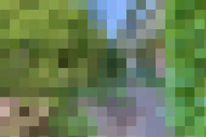 Laan der Verenigde Naties 11 Harderwijk thumbnail 73