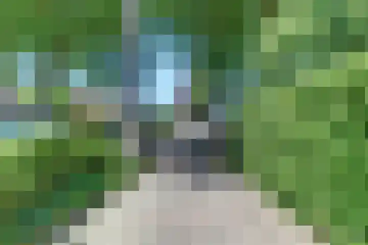 Laan der Verenigde Naties 11 Harderwijk thumbnail 79