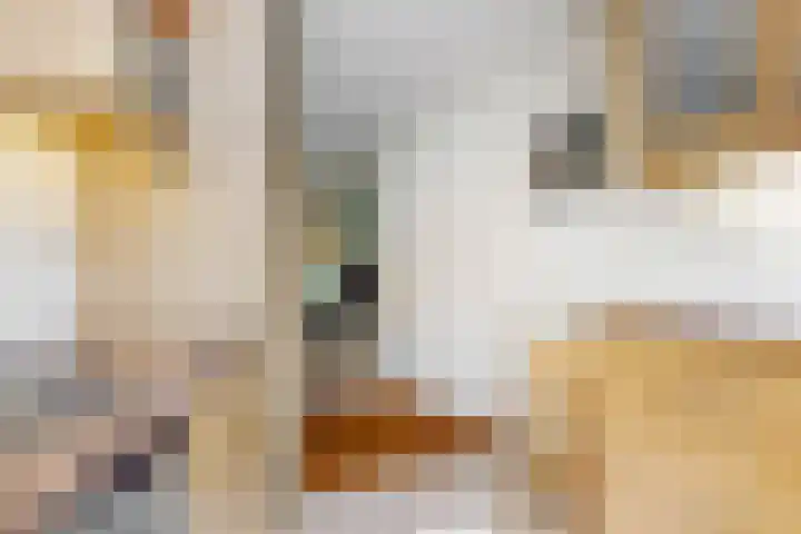 Laan der Verenigde Naties 110 Leiden thumbnail 13