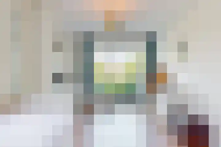 Laan der Verenigde Naties 110 Leiden thumbnail 22